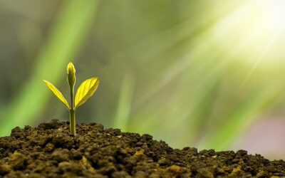 HR4Consulting attending the Hertfordshire Growth Hub Business Support