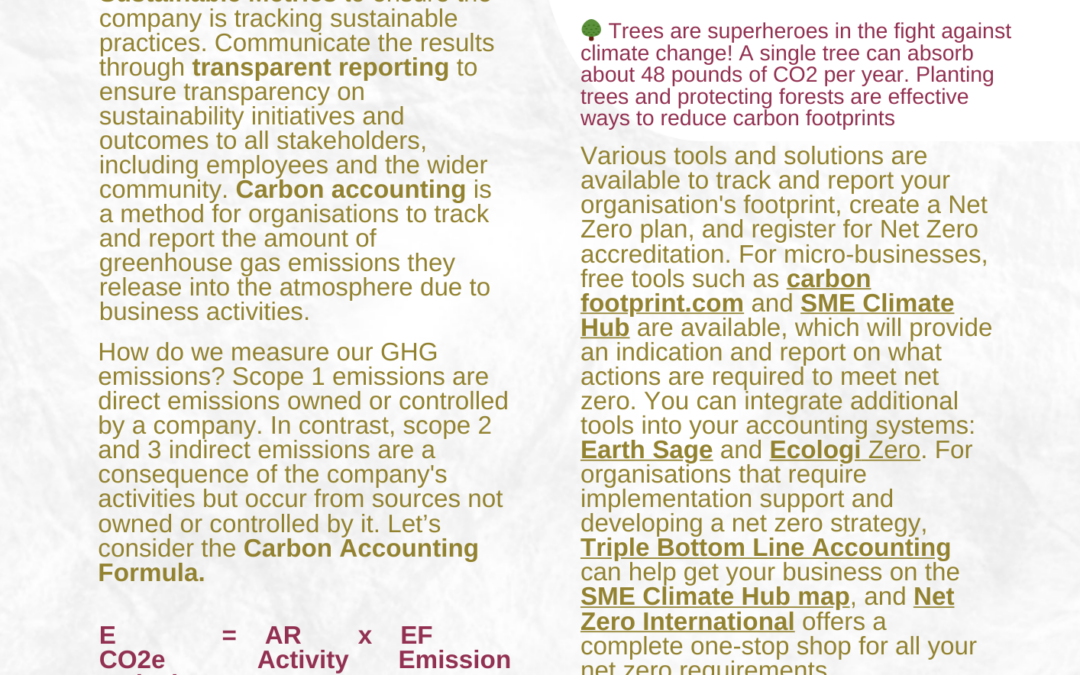 🌳 Chapter Eleven of Sustainability in a Human Resources Function