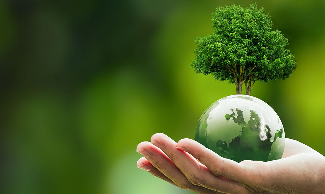 HR Green Initiatives & Carbon Reporting